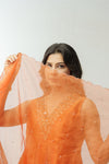 Orange hand embroidered anarkali set