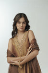 Brown hand embroidered anarkali set